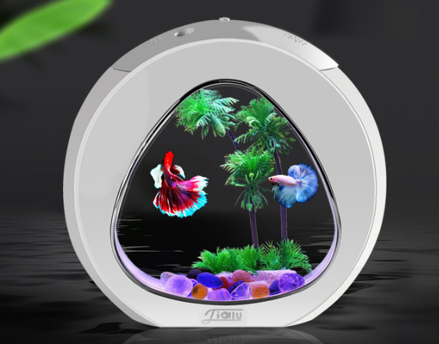 Desktop fish tank aquarium front view