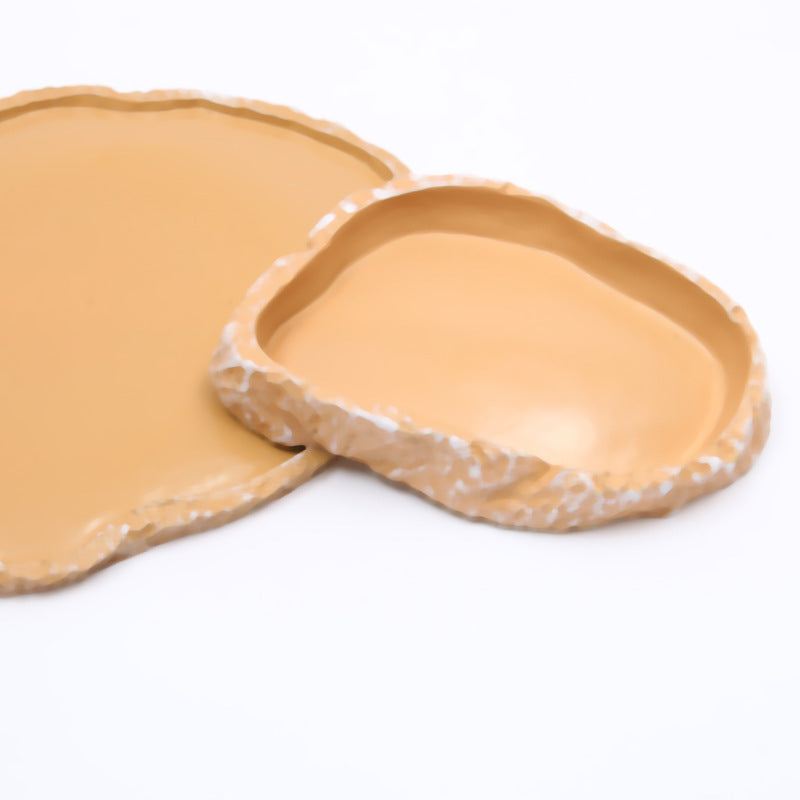 Water Tray for Reptile top