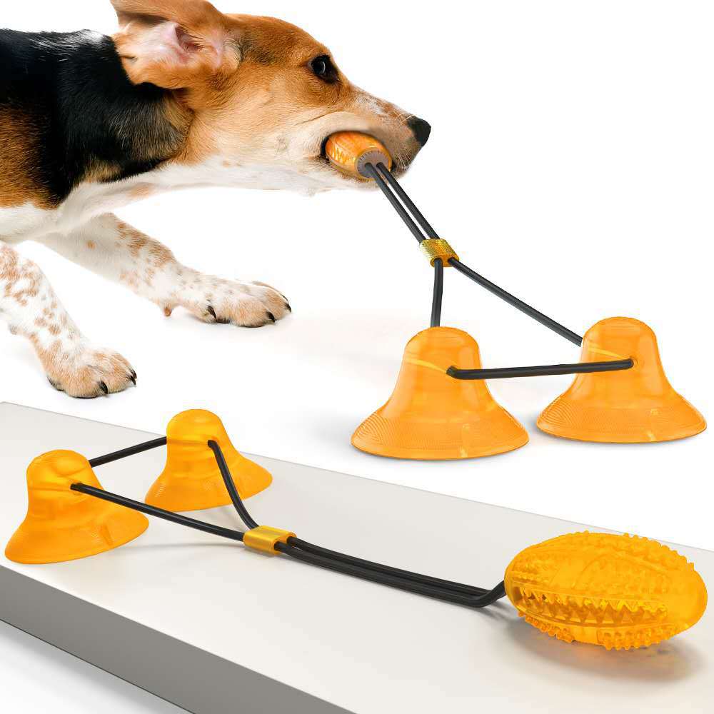 Ventouse Animaux Jouets
