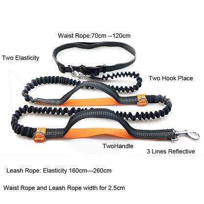 diameter Dog Running Leash Rope 2 Hand Control Dog Joging Walking Leash with Reflective Hands Free Pets Double Elasticity Collar Rope