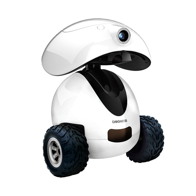 white  PET robot compagnon