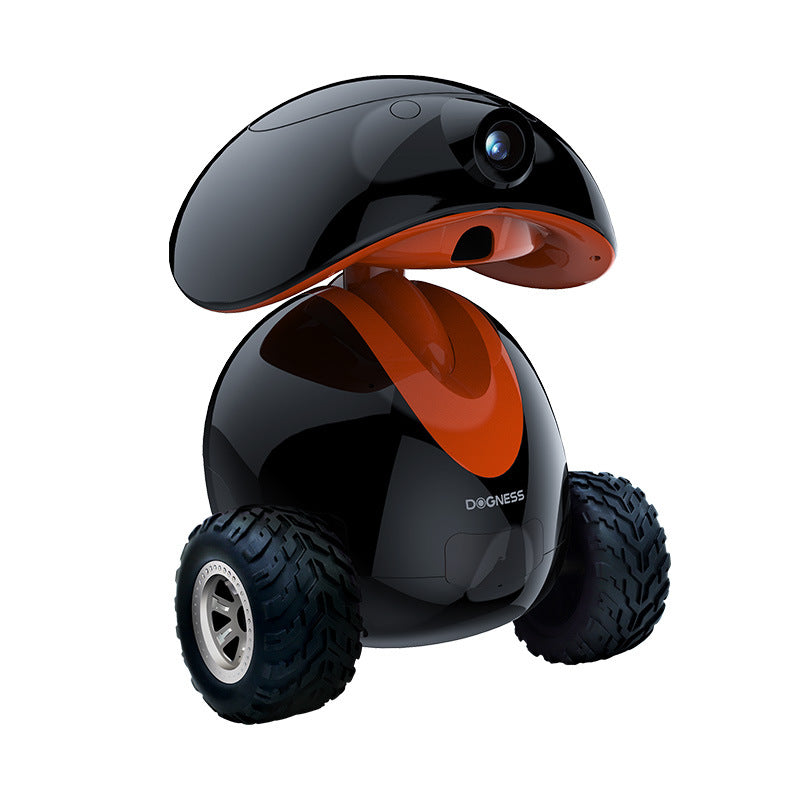 black pet robot compagnon