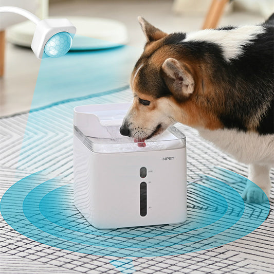 Water Dispenser Filter For Pets